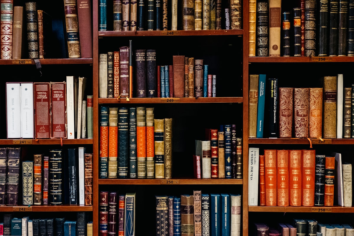 Perpustakaan Digital